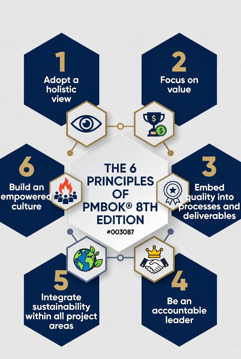 PMBOK 8 Principles