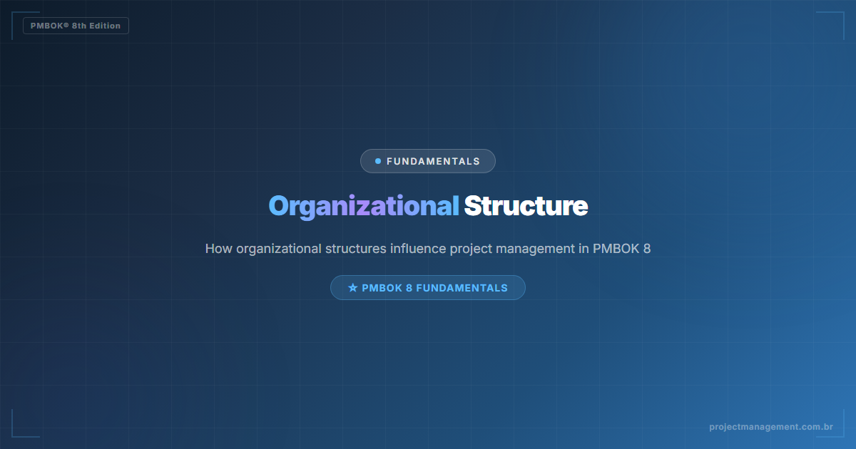 Organizational Structure in PMBOK 8