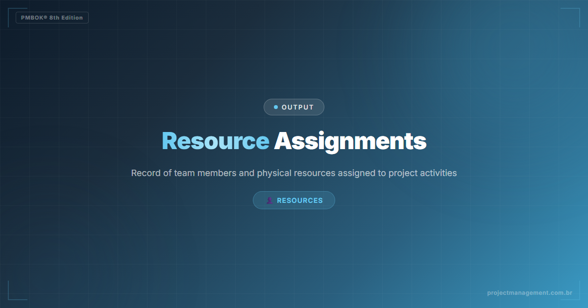 Physical/Virtual Resource Assignments PMBOK 8