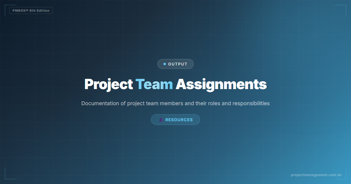 Project Team Assignments PMBOK 8
