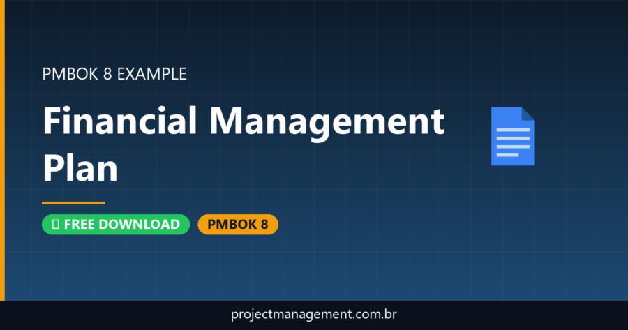 Financial Management Plan Example — Website Launch Project