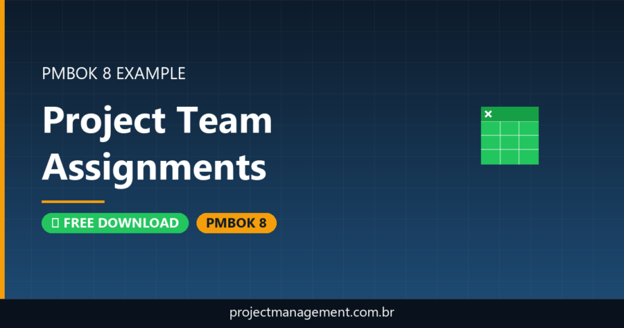 Project Team Assignments Example — Website Launch Project